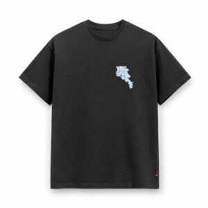 Armenia Coat of Arms Oversized T-Shirt